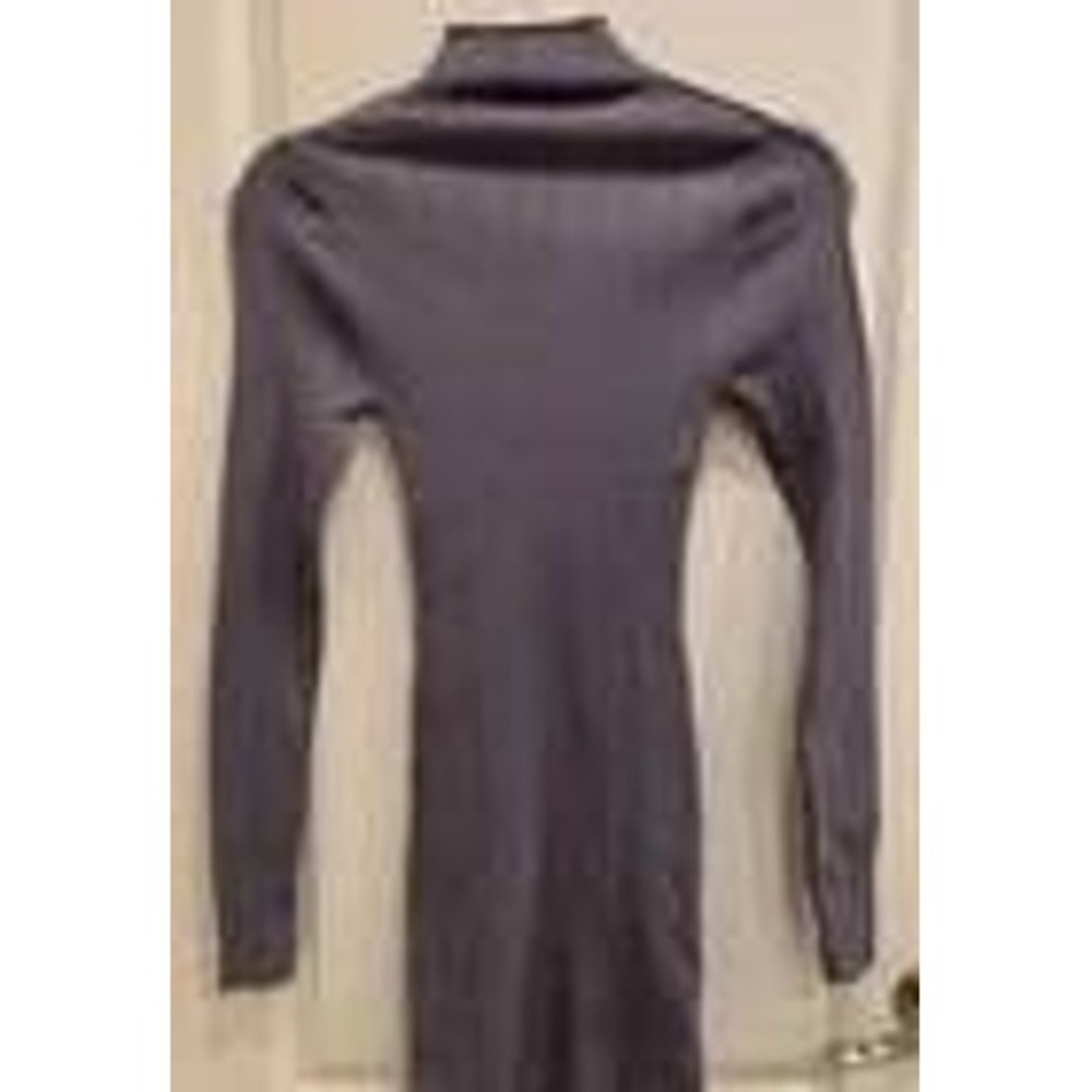 Zara‎ Mini Dress Bodycon Turtleneck Long Sleeve Ribbed Knit Dress